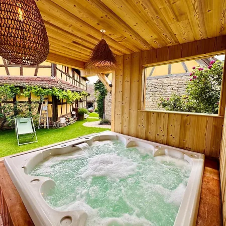 Le Chut - Alsace - 30 Min Strasbourg Hébergement de vacances *