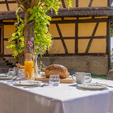Hébergement de vacances Le Chut - Alsace - 30 Min Strasbourg Rangen